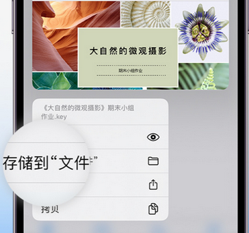 凤泉apple维修中心分享iPhone文件应用中存储和找到下载文件