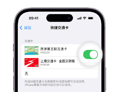 凤泉apple维修点分享iPhone上更换Apple Pay快捷交通卡手绘卡面 