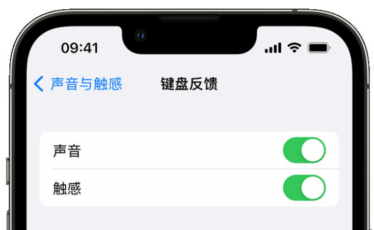 凤泉苹果手机维修分享iPhone 14触感键盘使用方法 