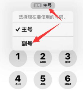 凤泉苹果14维修店分享iPhone 14 Pro Max使用副卡打电话的方法 