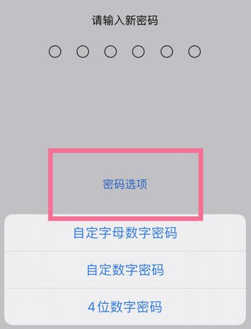 凤泉苹果14维修分享iPhone 14plus设置密码的方法 