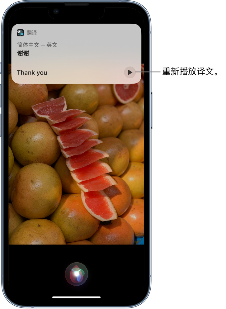 凤泉苹果14维修分享 iPhone 14 机型中使用 Siri：了解 Siri 能帮你做什么 