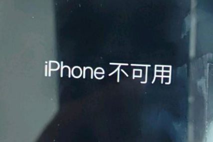 凤泉苹果服务网点分享锁屏界面显示“iPhone 不可用”如何解决 