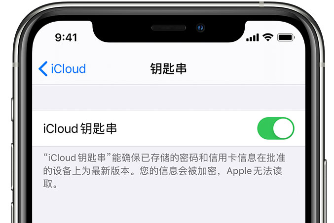 凤泉苹果手机维修分享在 iPhone 上开启 iCloud 钥匙串之后会储存哪些信息 