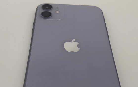 凤泉苹果11系统维修分享iPhone11手机系统崩溃无法开机如何解决 