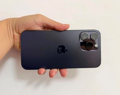凤泉苹果维修点分享iPhone 14 Pro Max发烫多重诱因剖析 